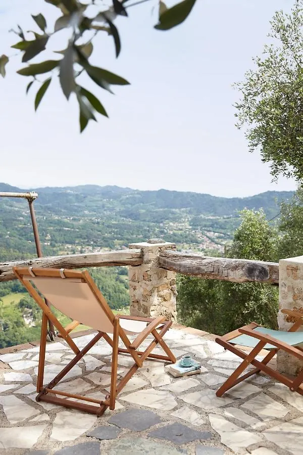 Casa Berti - Urlaub Im Olivenhain Camaiore Holiday home