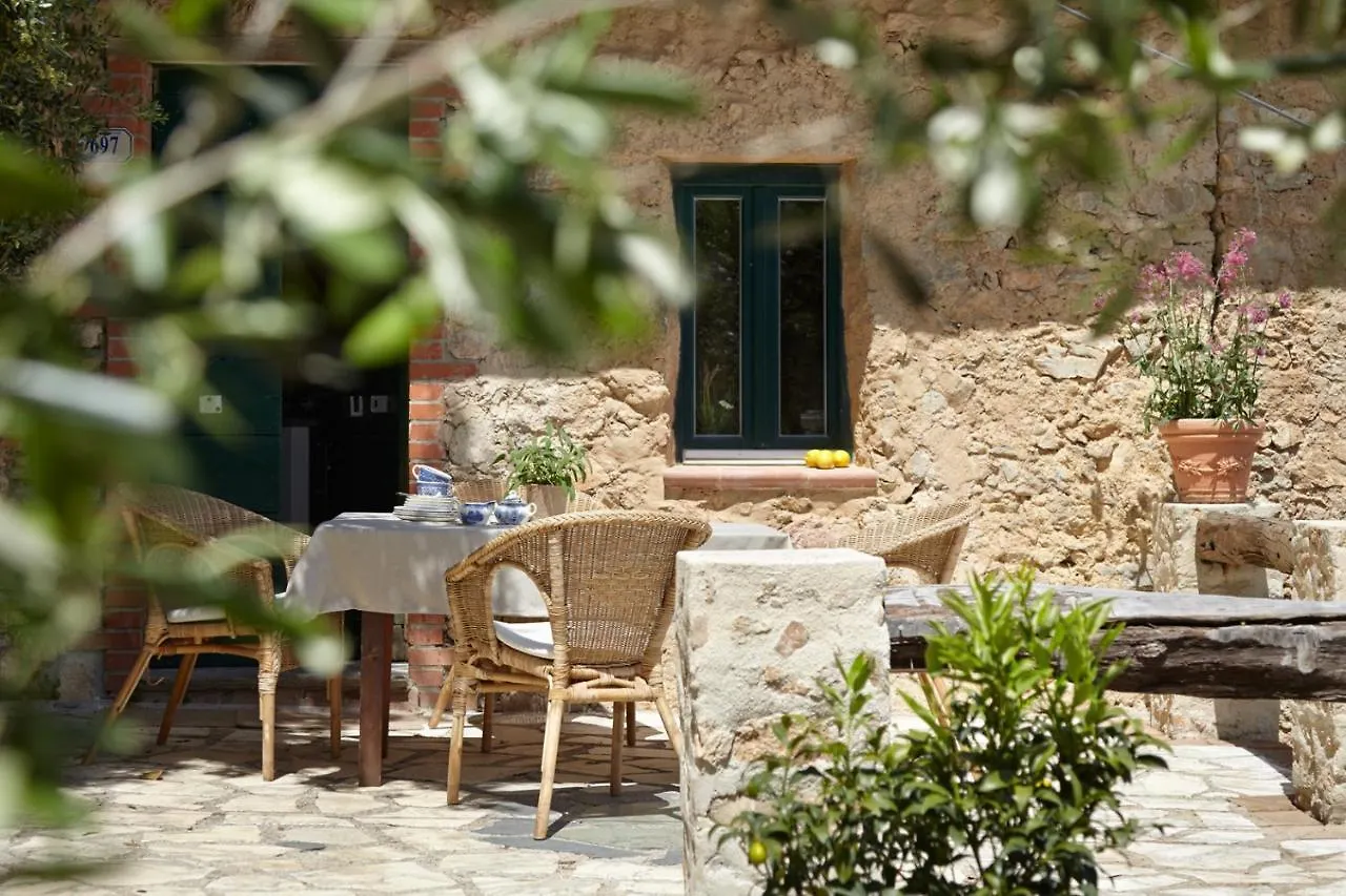 Casa Berti - Urlaub Im Olivenhain Camaiore