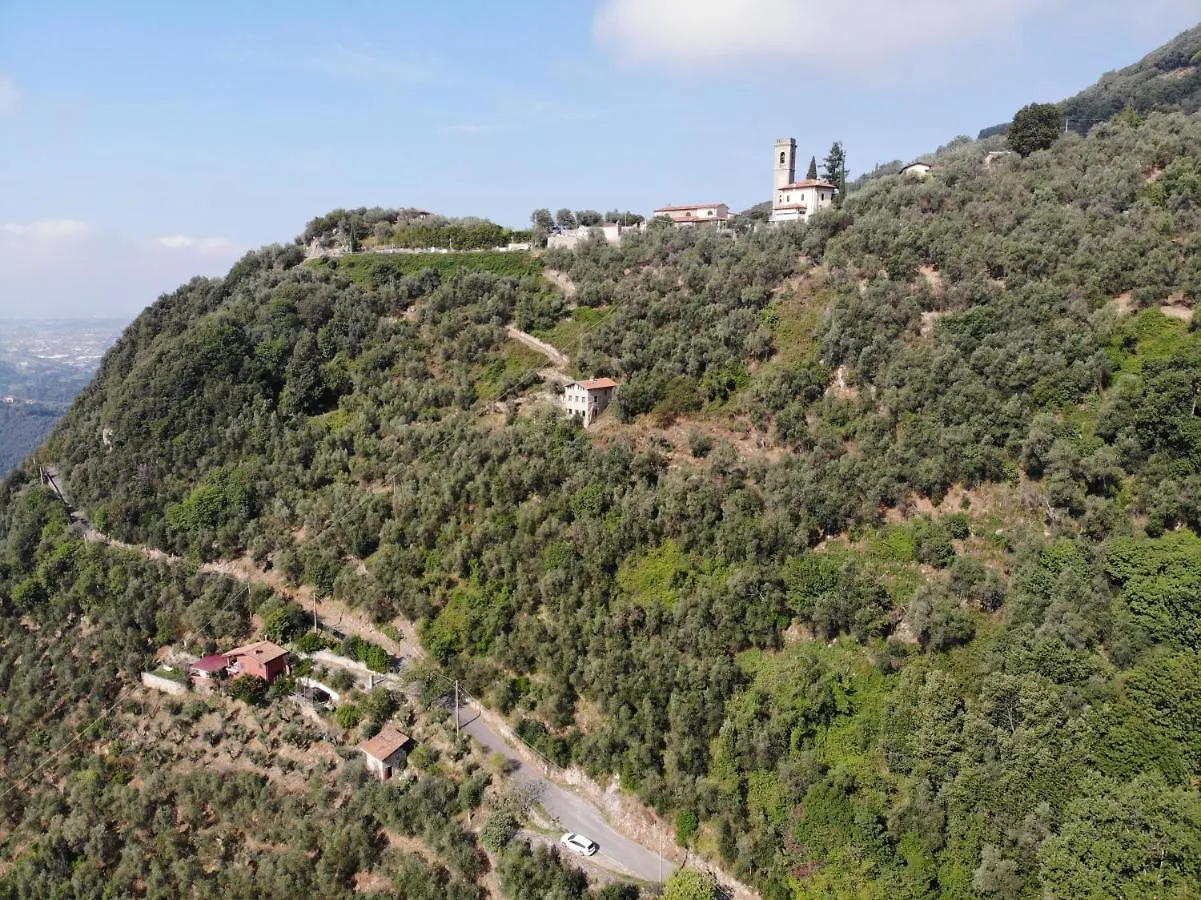 Casa Berti - Urlaub Im Olivenhain Camaiore 0*,  Italy