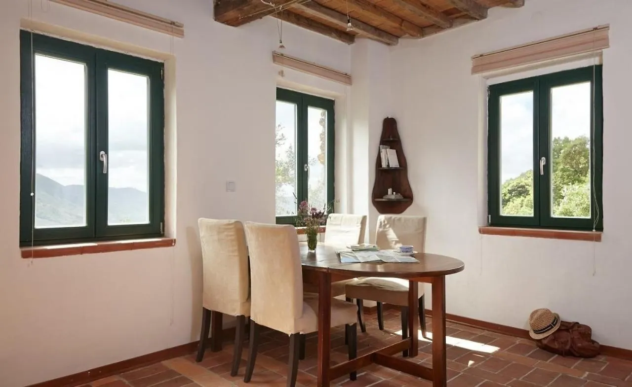Holiday home Casa Berti - Urlaub Im Olivenhain Camaiore