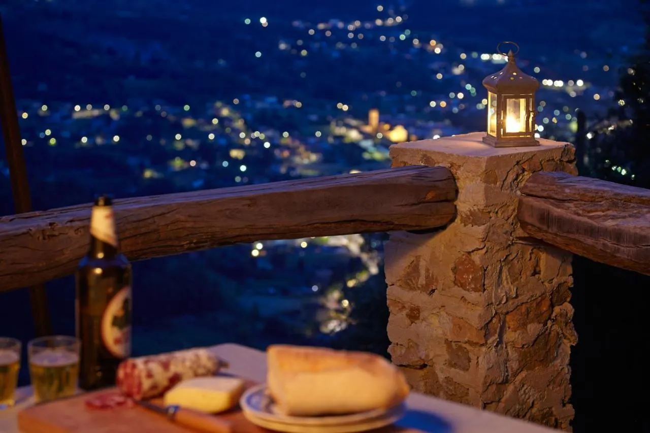 Casa Berti - Urlaub Im Olivenhain Camaiore