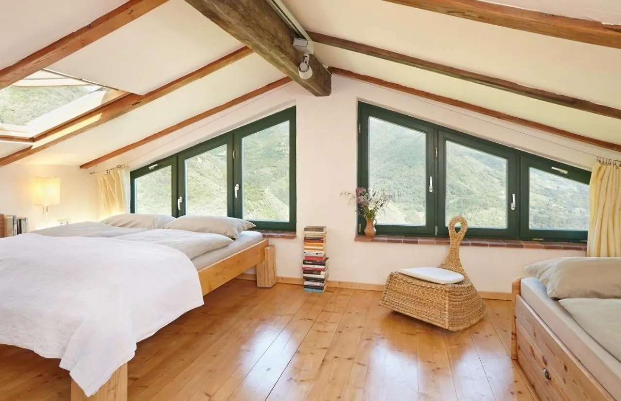 Casa Berti - Urlaub Im Olivenhain Camaiore Ιταλία