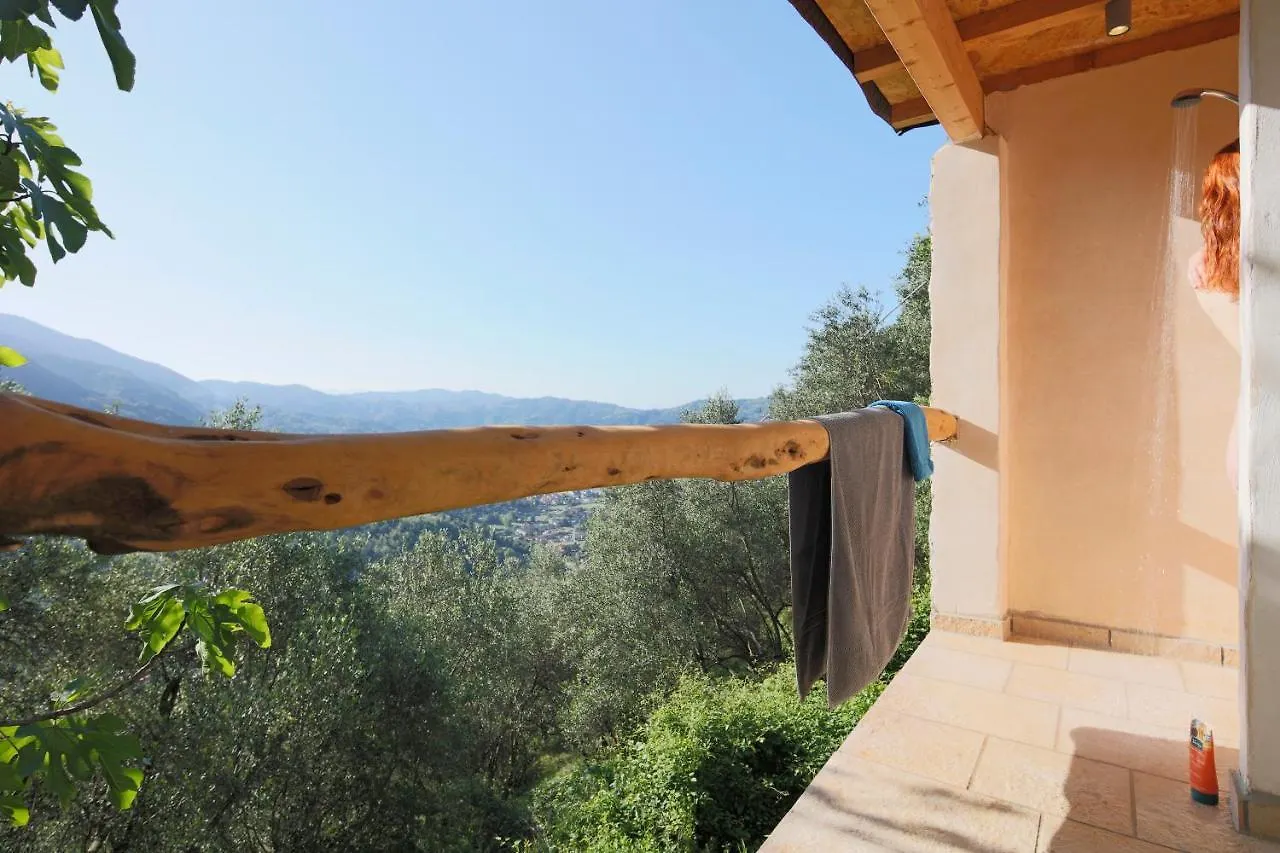 Casa Berti - Urlaub Im Olivenhain Camaiore 0*,