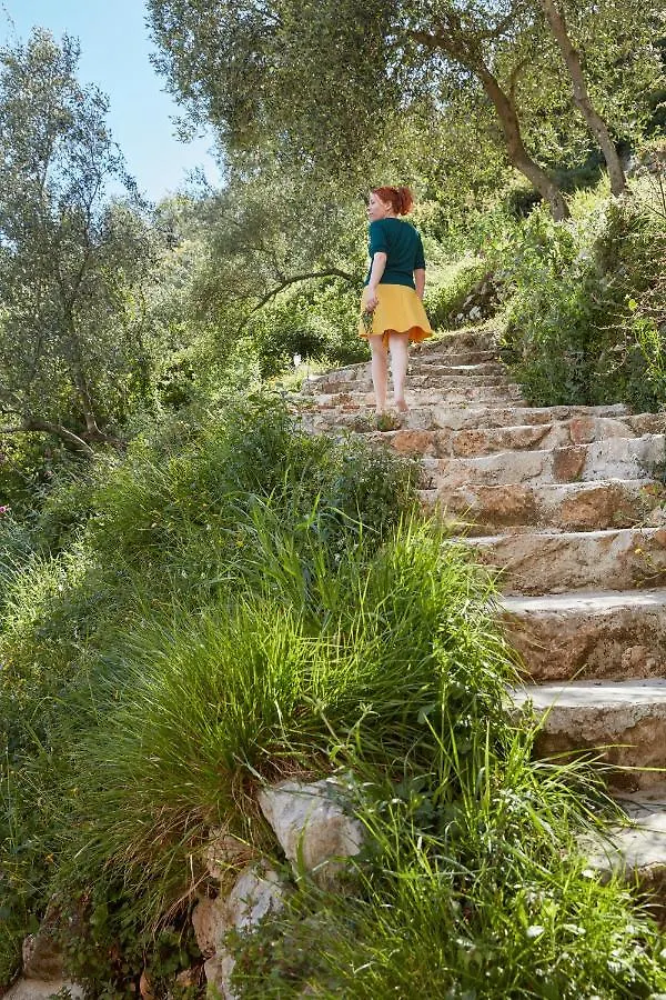 Casa Berti - Urlaub Im Olivenhain Camaiore Ιταλία