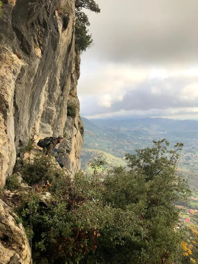 Casa Berti - Urlaub Im Olivenhain Camaiore Σπίτι διακοπών