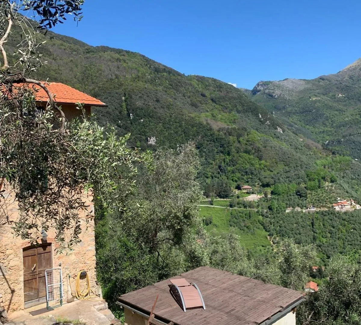 Casa Berti - Urlaub Im Olivenhain Camaiore Holiday home