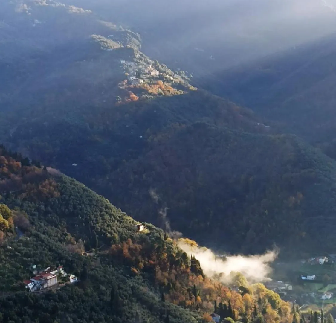 Casa Berti - Urlaub Im Olivenhain Camaiore